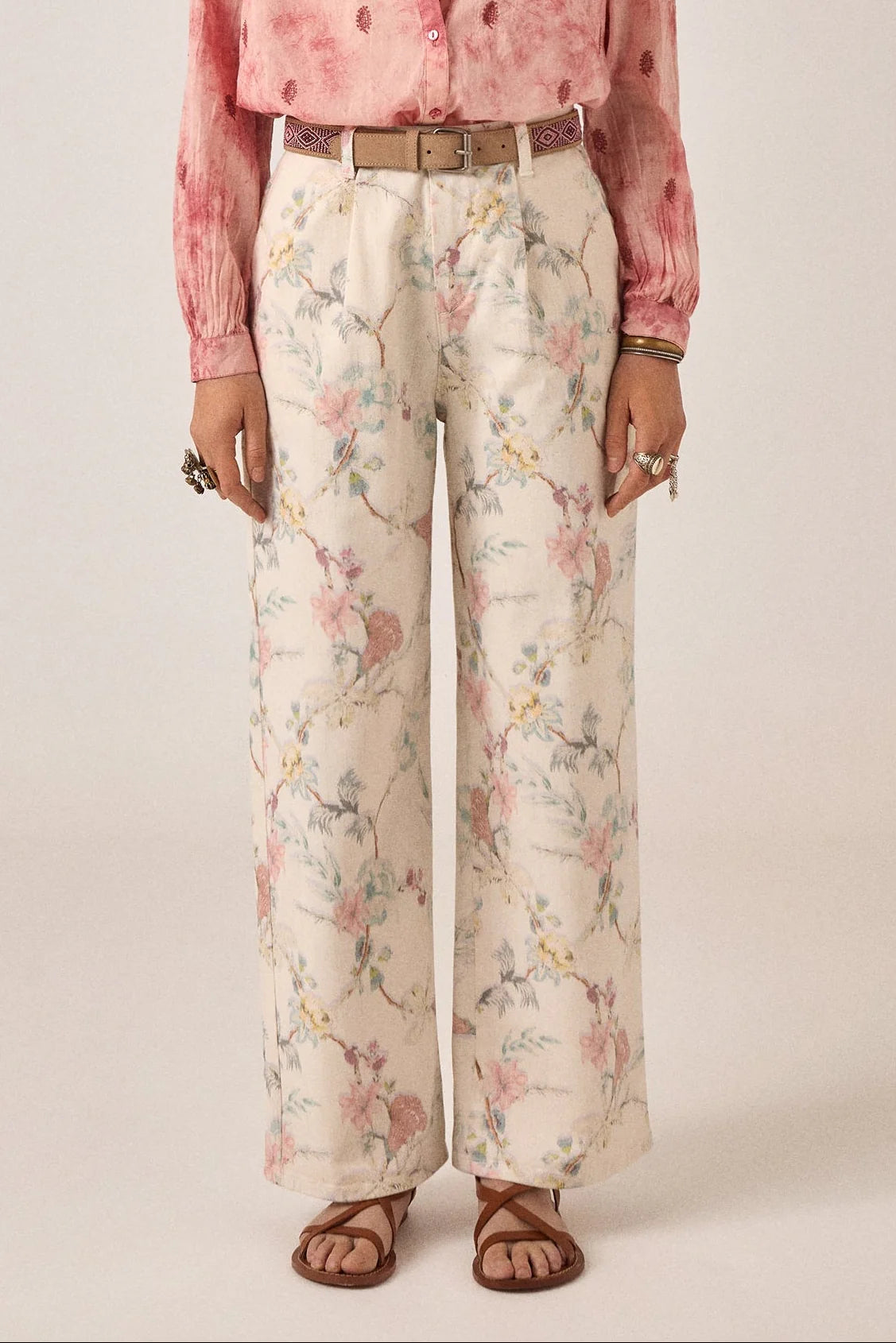 Lirio Pant Botanica