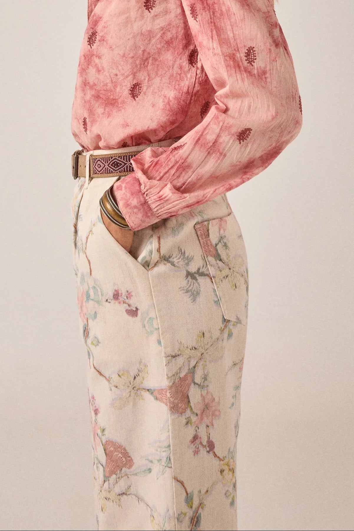 Lirio Pant Botanica