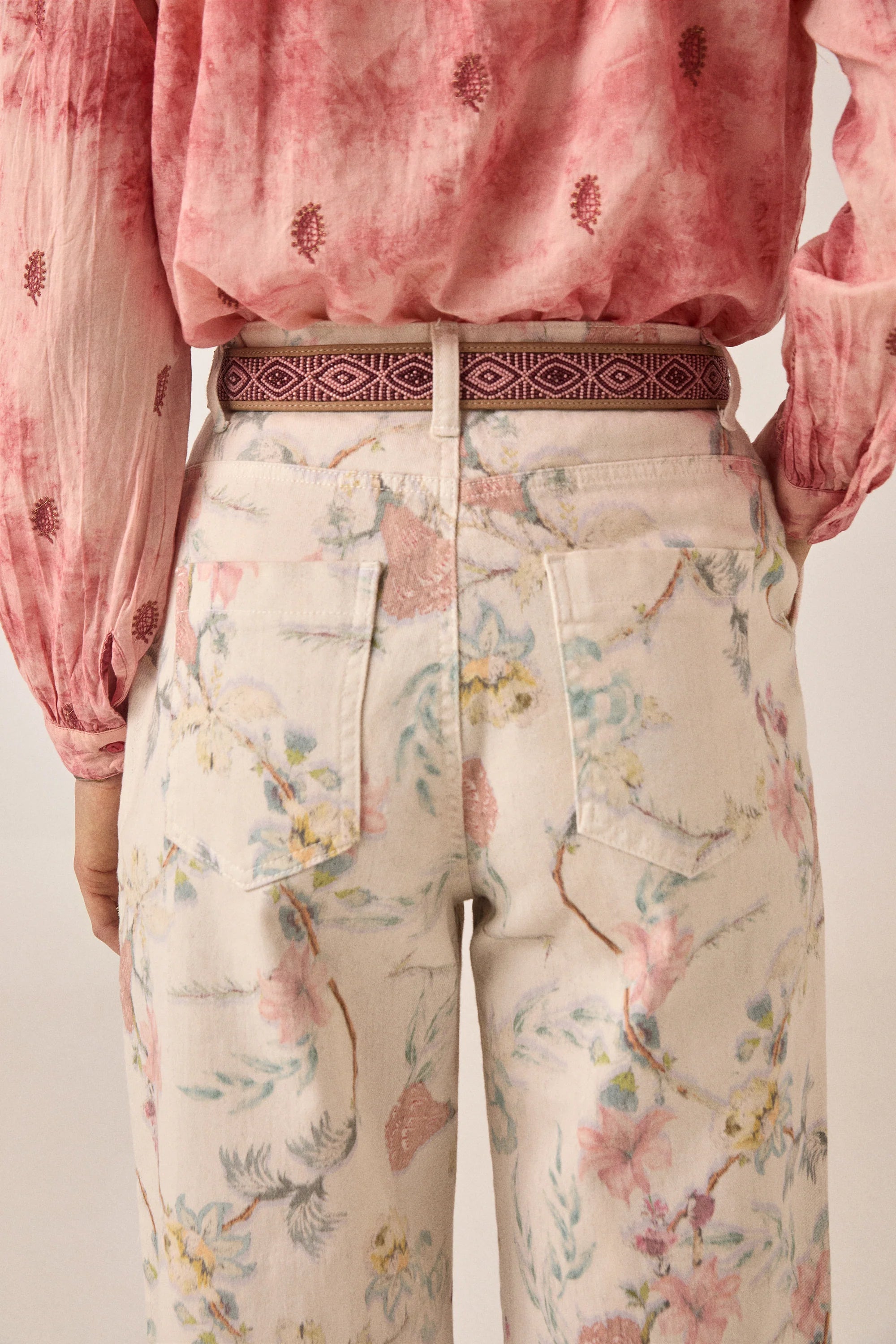 Lirio Pant Botanica
