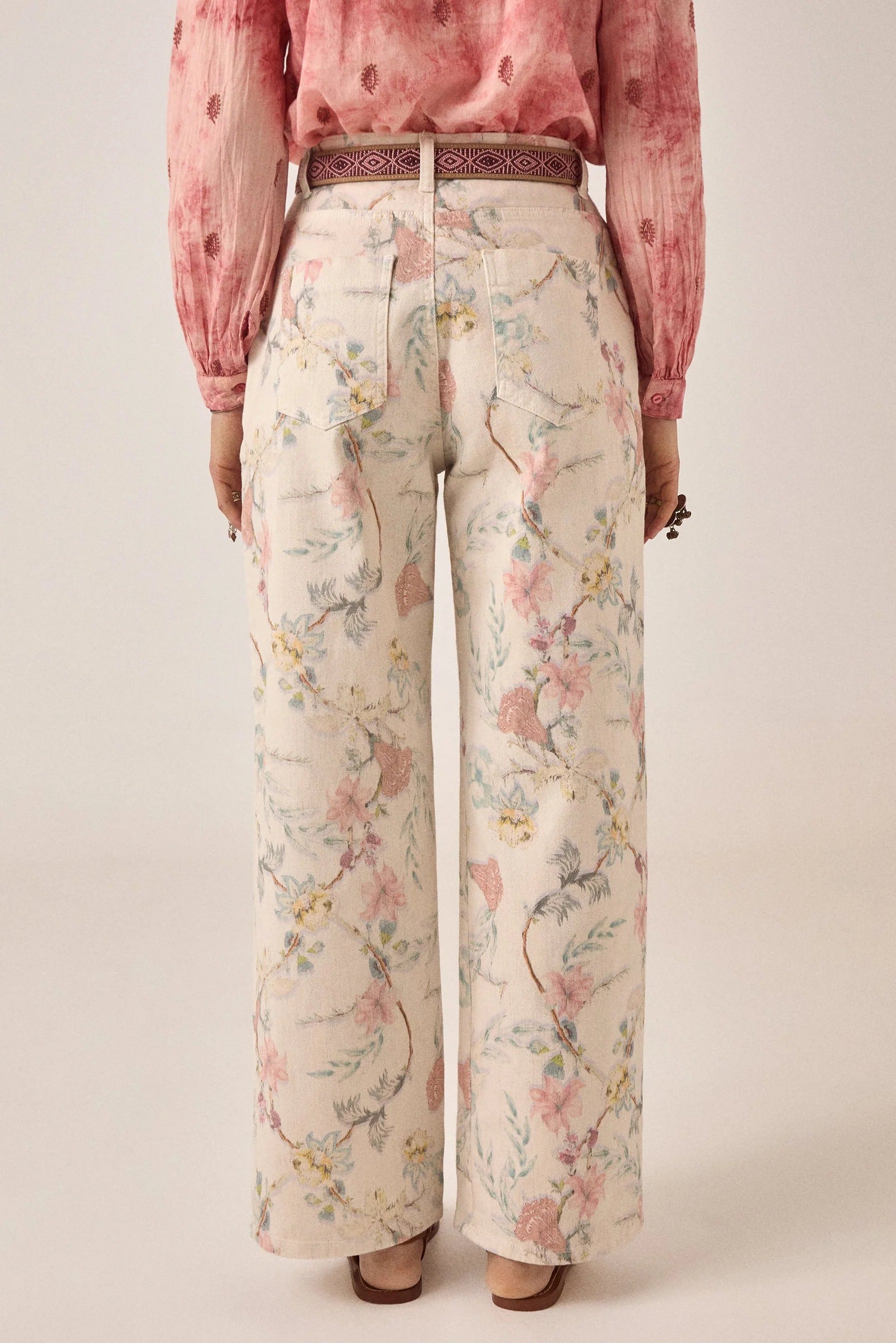 Lirio Pant Botanica