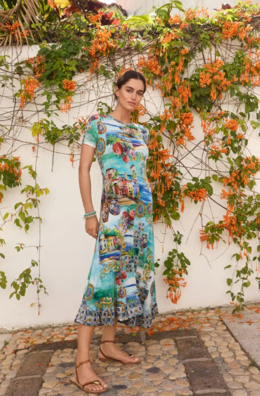 The Janie Favorite Asymmetric Hem SS Dress