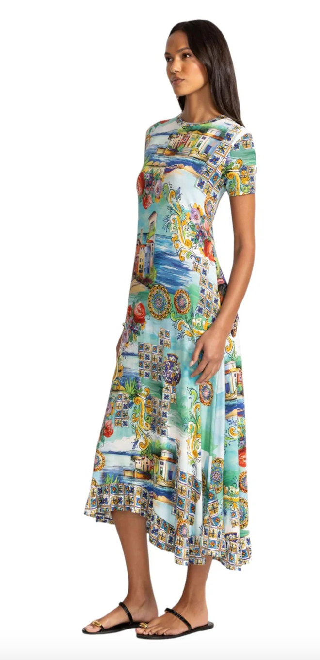 The Janie Favorite Asymmetric Hem SS Dress