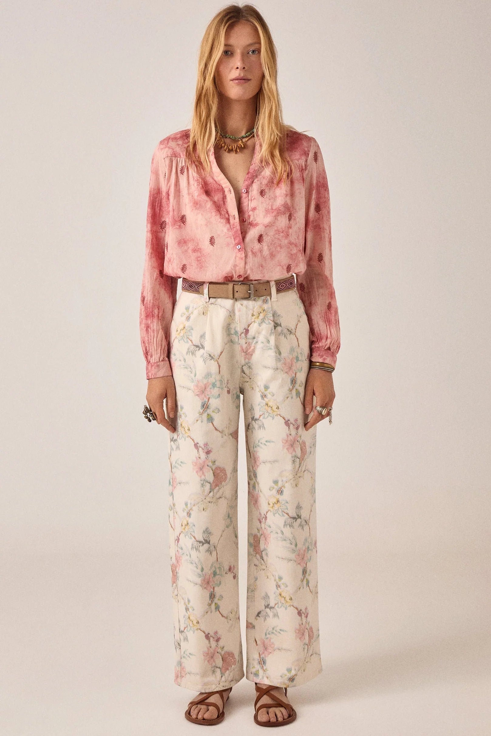Lirio Pant Botanica