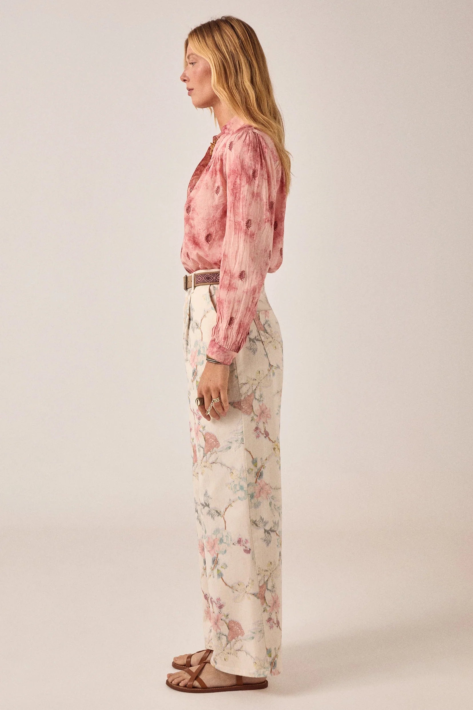 Lirio Pant Botanica